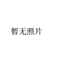儿子：毛岸红